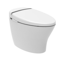 Coma High Standard Sanitary Ware Ceramic Concealed Toilet Rimless Luxury Floor Mounted Toilet Seat