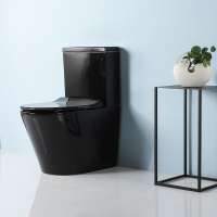 Chaozhou Toilet Manufacturers Glossy Black Color Flush Toilet MJ2807